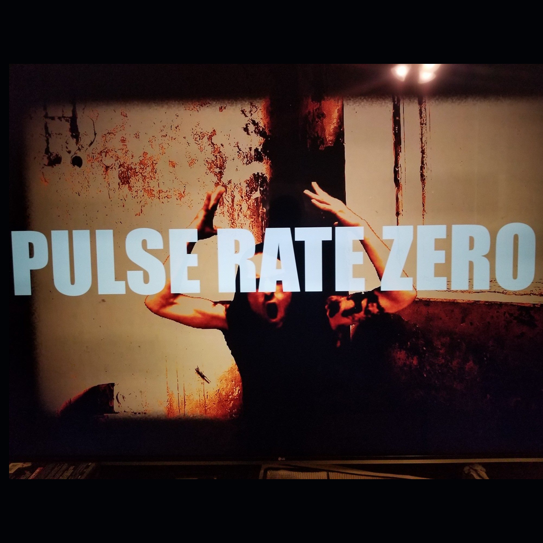 Pulse Rate Zero artist image